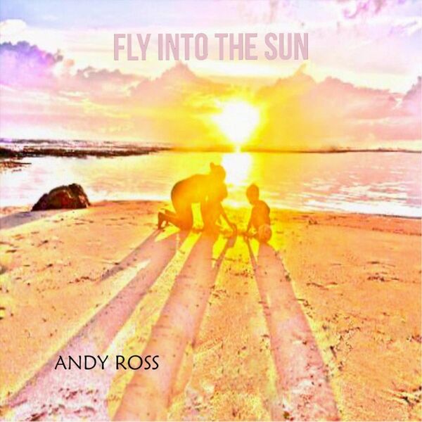 Cover art for Fly into the Sun